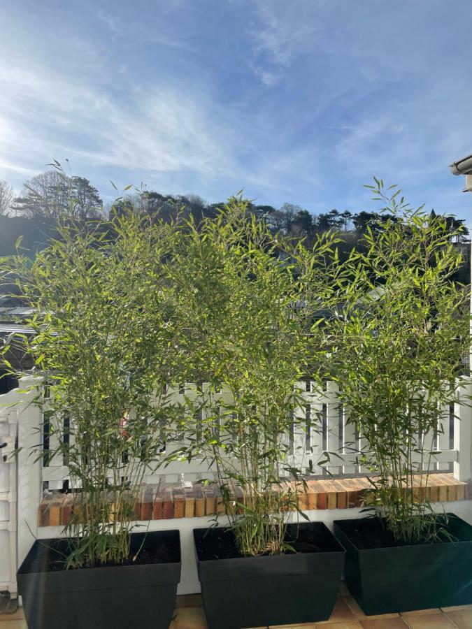 Etretat: Agreable Maison De Ville Εξωτερικό φωτογραφία